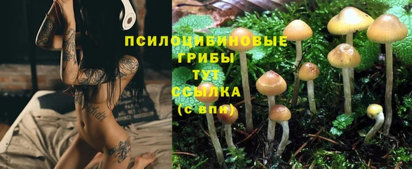 кокс Осинники