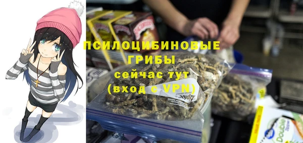 гидра Всеволожск