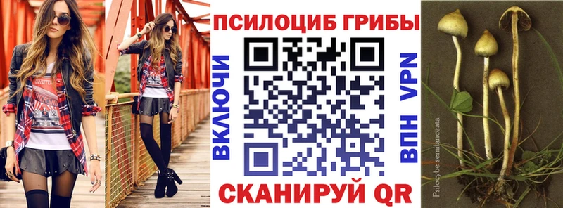 Псилоцибиновые грибы ЛСД Безенчук